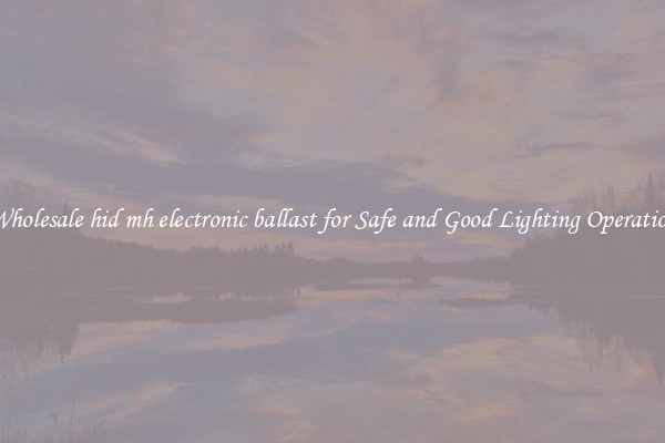 Wholesale hid mh electronic ballast for Safe and Good Lighting Operation