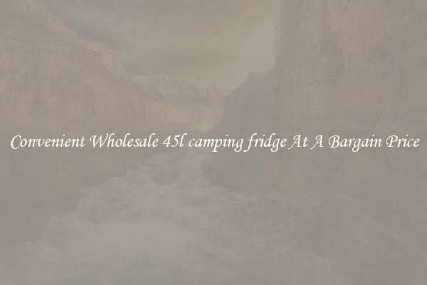 Convenient Wholesale 45l camping fridge At A Bargain Price