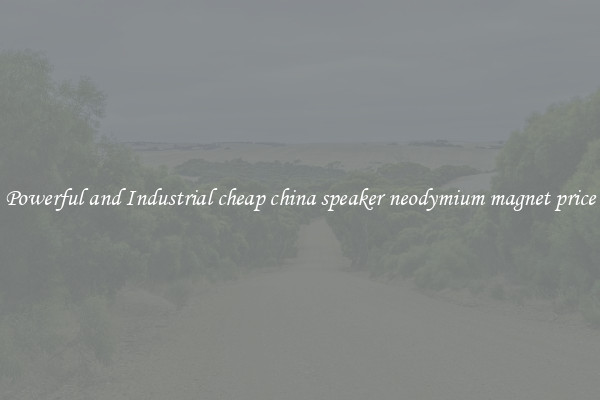 Powerful and Industrial cheap china speaker neodymium magnet price