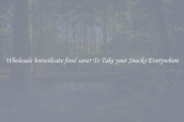 Wholesale borosilicate food saver To Take your Snacks Everywhere