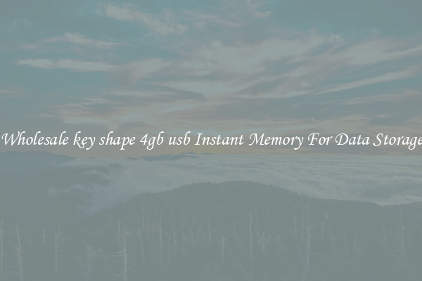 Wholesale key shape 4gb usb Instant Memory For Data Storage