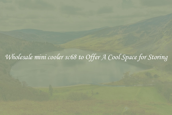Wholesale mini cooler sc68 to Offer A Cool Space for Storing