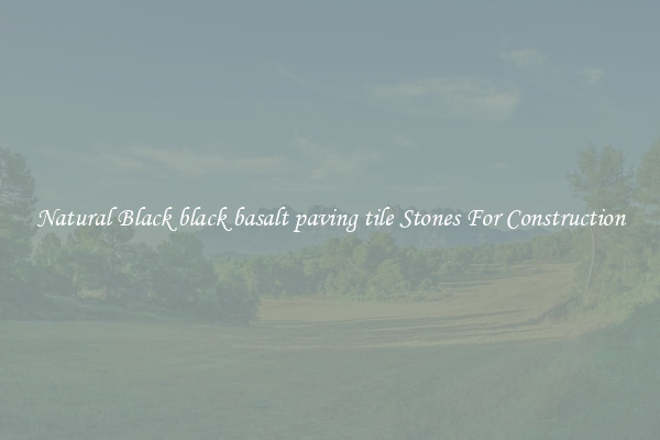 Natural Black black basalt paving tile Stones For Construction
