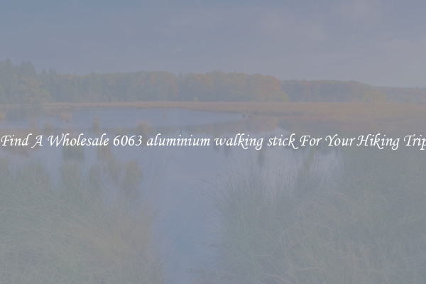 Find A Wholesale 6063 aluminium walking stick For Your Hiking Trip