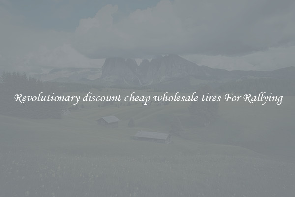 Revolutionary discount cheap wholesale tires For Rallying