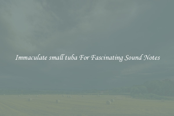 Immaculate small tuba For Fascinating Sound Notes