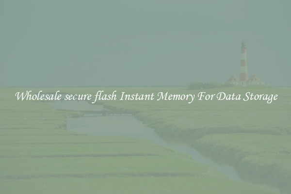 Wholesale secure flash Instant Memory For Data Storage