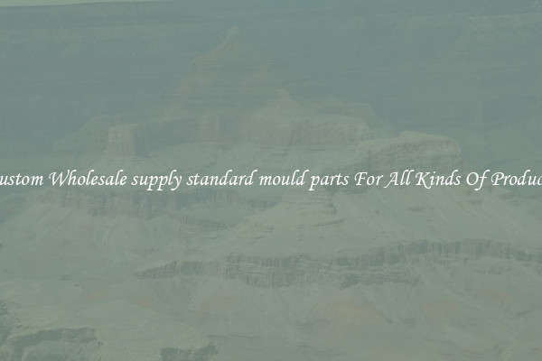 Custom Wholesale supply standard mould parts For All Kinds Of Products