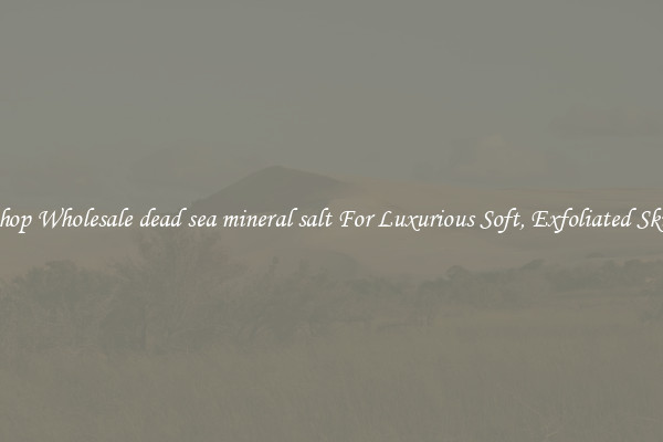Shop Wholesale dead sea mineral salt For Luxurious Soft, Exfoliated Skin