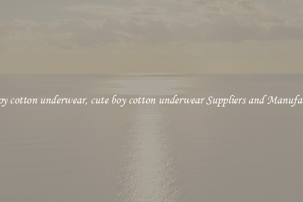 cute boy cotton underwear, cute boy cotton underwear Suppliers and Manufacturers