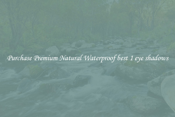Purchase Premium Natural Waterproof best 1 eye shadows