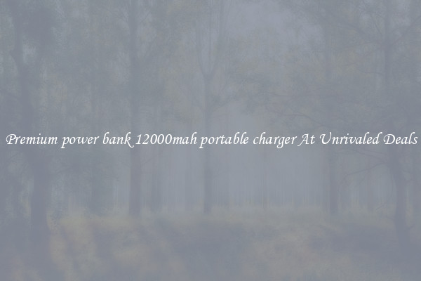 Premium power bank 12000mah portable charger At Unrivaled Deals