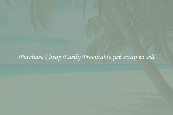 Purchase Cheap Easily Procurable pet scrap to sell