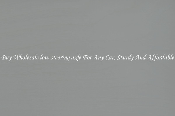 Buy Wholesale low steering axle For Any Car, Sturdy And Affordable