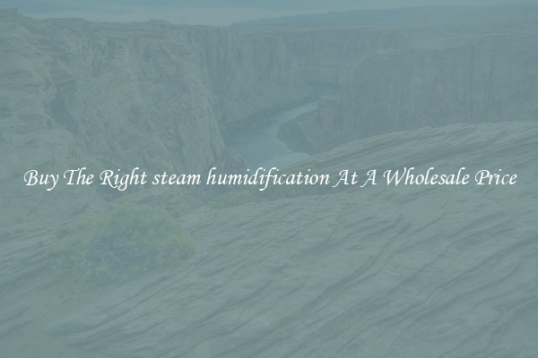 Buy The Right steam humidification At A Wholesale Price