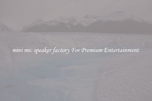 mini mic speaker factory For Premium Entertainment 
